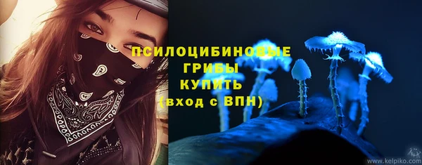 ешки Алексин