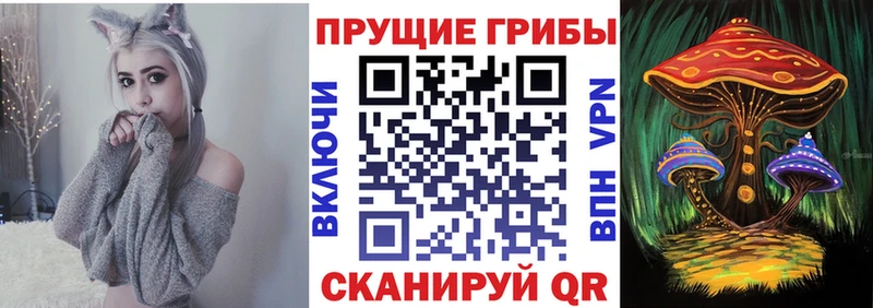 mega сайт  Моздок  Псилоцибиновые грибы MAGIC MUSHROOMS 